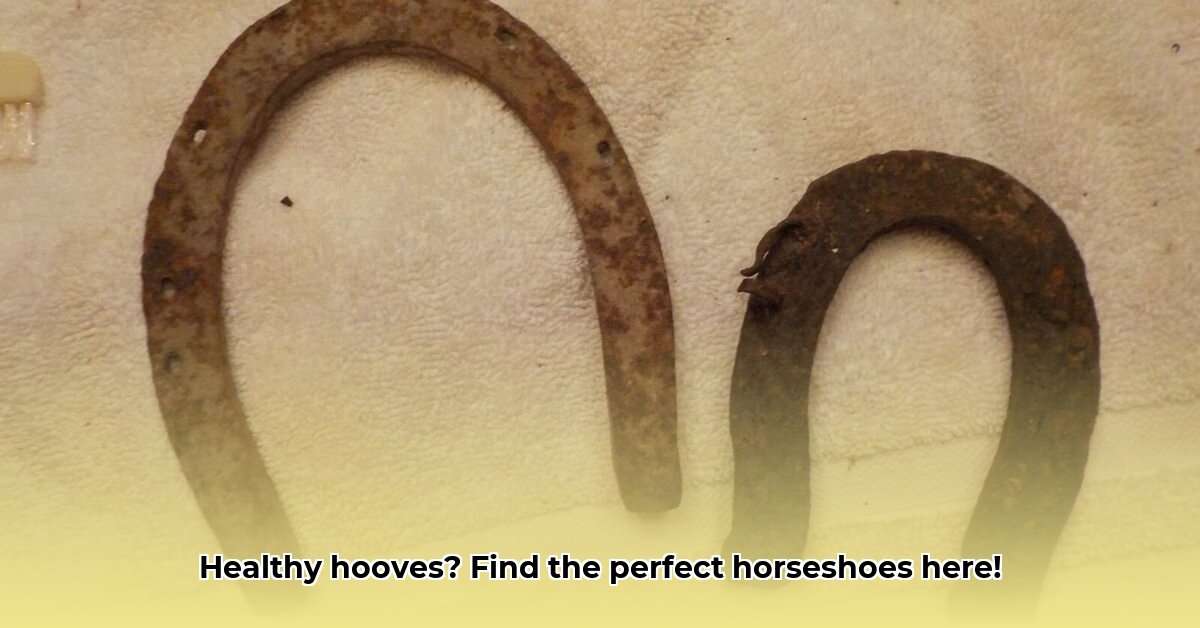 horseshoes-at-tractor-supply